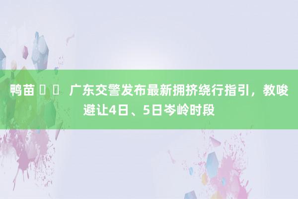 鸭苗 		 广东交警发布最新拥挤绕行指引，教唆避让4日、5日岑岭时段
